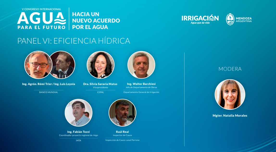 PANEL VI: Eficiencia Hídrica